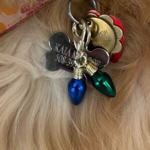 🎄Christmas dog collar charm